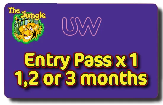 UW Pass